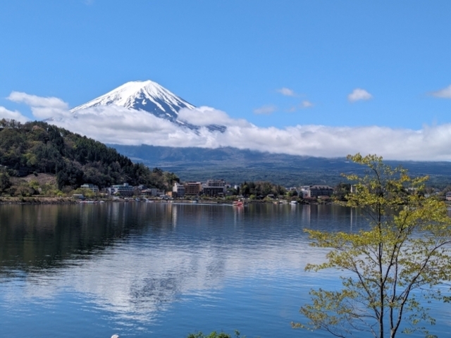 偶然が重なった景色