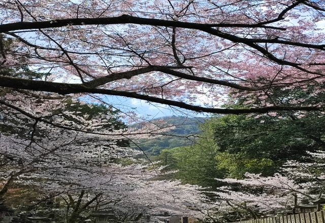 西讃岐