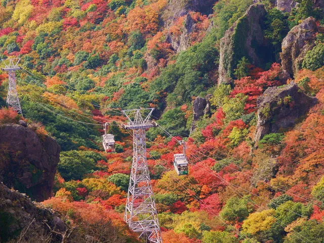 自然体験